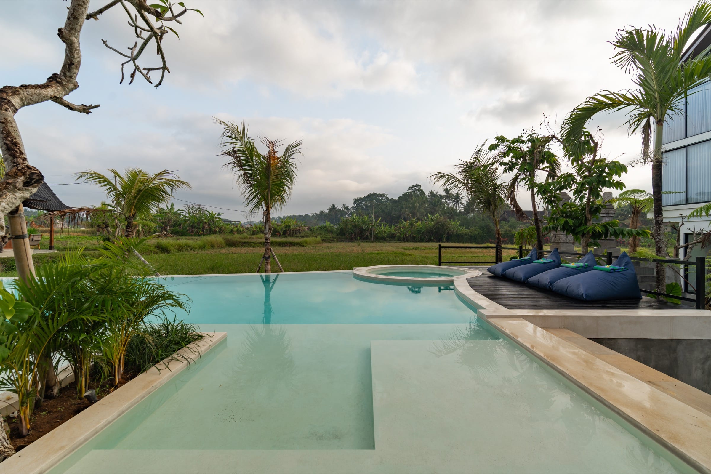 The resort's heated infinity pool with a jacuzzi, loungers and palms, beside the rice field